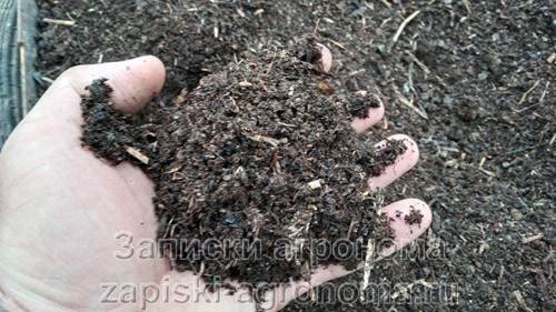 Изготовление компостной ямы своими руками