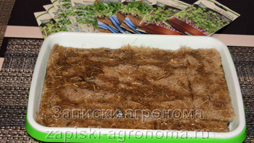 Джутовые коврики для выращивания микрозелени в проращивателе проливают водой перед посевом
